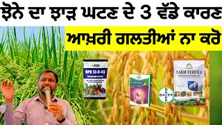 ਝੋਨੇ ਦੀ ਫ਼ਸਲ ਦੇ ਆਖ਼ਰੀ ਪ੍ਰਬੰਧ ਆਖ਼ਰੀ ਪਾਣੀ PADDY CROP INFORMATION agriculture PART 5 [upl. by Enna]