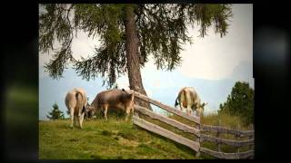 Barbian in Südtirol  Wandereindrücke um Villanders und dem Eisacktal [upl. by Edaj]