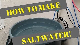 How to Make Saltwater  Fritz Pro RPM [upl. by Ahsitra]