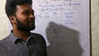 lect21 IP3 DAG Pathway PHARMACOLOGY [upl. by Eelik]