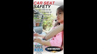 Car Seat Safety [upl. by Standford]