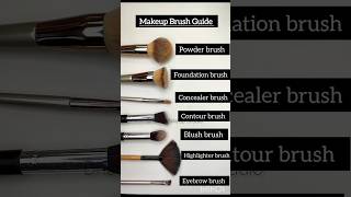 Makeup Brush Guide ✨💕 makeupknowledge makeupbrushes makeuptips [upl. by Anot]