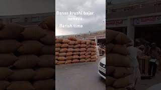 banas krushi bajar nenava barish time youtubeshorts reels marvel marketing market [upl. by Nwahsit573]