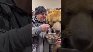 Pet bear eating like a human babydoctorsango [upl. by Gibbie]