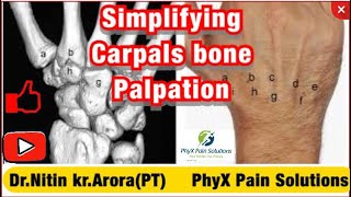 Simplifying Wrist Joint And Carpal Bone Palpation  Nitin Kumar Arora  PhyX Pain Solutions [upl. by Violante]