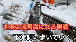 冬場は流雪溝になる「側溝」の下流側へ向かって歩いてみる [upl. by Malone]