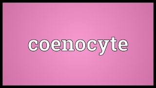 Coenocyte Meaning [upl. by Joel]