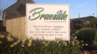 Braeside Nursery U105 Radio Advert 2012 [upl. by Rowell]