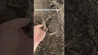 Working Dirt with the Salford 5200 Enforcer farming agriculture cornharvesting [upl. by Barr]