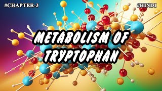 Chapter  3  Metabolism Of Amino Acids  Tryptophan Metabolism Part8  Hindi [upl. by Angil]