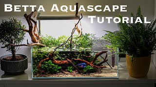 BEAUTIFUL LowTech BETTA nano tank aquascaping TUTORIAL mini pond style amp betta feeding [upl. by Schreib]