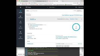 Debug Spring Boot Application on OpenShift [upl. by Odranar36]