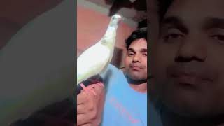 Sikhane pe phokas karo birds dnbbeats musicgenre music pigeon [upl. by Dorise666]