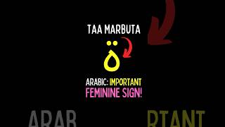 Taa Marbuta Arabic’s Important Feminine Sign arabic learnarabic arabiclanguage arabic101 [upl. by Ainafets]