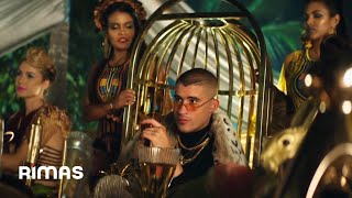 BAD BUNNY  NI BIEN NI MAL  X100PRE Video Oficial [upl. by Trauner461]