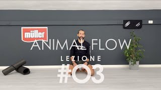 Animal Flow con Gabriele Montingelli Lezione 3 [upl. by Adi510]