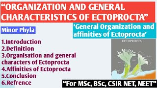 Organisation and general characters of Ectoprocta  General Organization amp affinities of Ectoprocta [upl. by Namad]