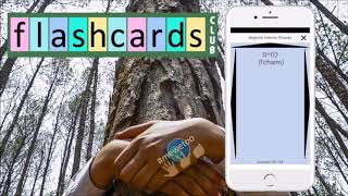 Flashcards Club app  CreateShare Flashcards [upl. by Onifled]