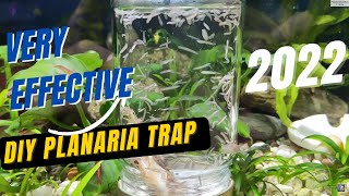 How to make ZERO cost Planarian Trap  FULL English [upl. by Ytsirk469]