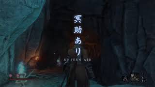 Sekiro Live Sunken Valley [upl. by Cyrilla855]