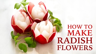 How To Make A Radish Flower  Vegetable Carving Tutorial Fruit Rose Carving [upl. by Ycal]