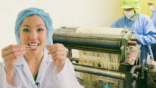 How Rice Noodles Are Made in Thailand  Mini Documentary [upl. by Houston876]