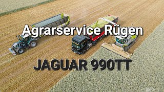 Agrarservice Rügen GPSClaas Jaguar 990 Terra Trac  Fendt  John Deere [upl. by Adnamor]