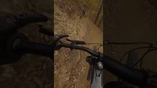 I almost had a huge crash on this high speed downhill trail windrockbikepark mtb mountainbiking [upl. by Asiulana496]