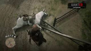 Red Dead Redemption 2 New Horse Spawn Glitch [upl. by Derwin]