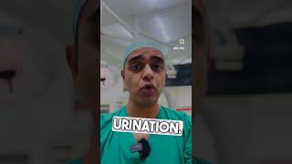 Urinary Tract Infection  UTI Permanent Prevention پیشاب کا انفیکشن Urdu Hindi [upl. by Elimaj567]