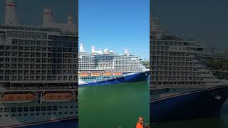 Watching the carnival celebration leave miami from the horizon shortsfeed shortvideo ytshorts [upl. by Ignazio519]