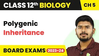 Polygenic Inheritance  Principles of Inheritance and Variation  Class 12 202223 [upl. by Shanie]