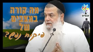 הרב יגאל כהן  מה קורה במצבים של פיקוח נפש 🔴שידור חי [upl. by Etta610]