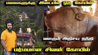 உலகை அழிக்க போகும் நந்தி  வளரும் அதிசய நந்தி  Yaganti Uma Maheswara Temple  யாகந்தி கோயில் [upl. by Elysia238]