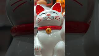 The manekineko beckoning cat  beckoningcat manekineko dailyfacts cats kitten [upl. by Neerak]