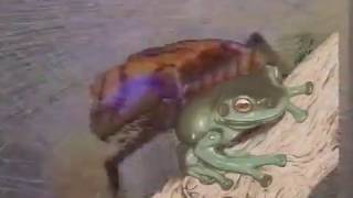 Hope  Tree Frog Rare Music Video [upl. by Noiek518]