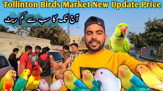 Tollinton Birds Market Sunday Bazar New update  lahorientertainmentchannel [upl. by Hourigan599]