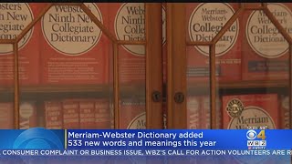 MerriamWebster Dictionary Added 533 New Words And Meanings This Year [upl. by Natalie643]