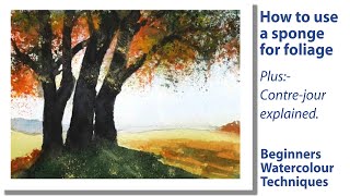 How to paint a backlit or contrejour subject using a sponge with watercolour [upl. by Yllom919]