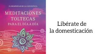 DESPARACITACION ENERGETICA Meditación 14 Los 4 acuerdos Toltecas Liberate de la domesticacion [upl. by Doniv992]