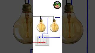 2 Gang Switch Boardshortsshortsfeedshortsvideoyoutubeshortsytshorts bhojpurisongelectrical [upl. by Yatnuahc]