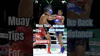 Muay Thai Tips For Beginners 😎 [upl. by Lyrac179]