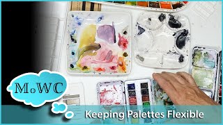 Choosing Watercolor Palettes with Flexibility in Mind [upl. by Kotto]