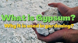 What is Gypsum Why Gypsum is used in gardening [upl. by Oibirot]