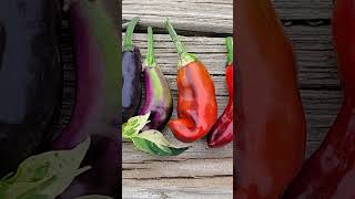 Peppers and More Peppers  Some of My Crosses growpeppers gardening [upl. by Modesty]