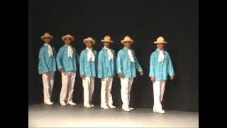 Ballet Folklórico Fiesta Mexicana Estampa de VERACRUZ [upl. by Nnylyma237]