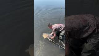 Спогади fishing sorts carp carpfishinglife sort carplove carpfishing fish [upl. by Otir]