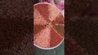 BADAM KAJU KISHMISH PISTA HALVA bollywood song [upl. by Nuris244]