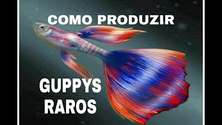 GUPPYSRAROS  COMO PRODUZIR GUPPYS OU LEBISTES OU OUTROS PEIXES DIFERENTES RAROS [upl. by Latsyc]