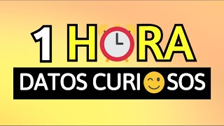 ¡1 HORA De DATOS CURIOSOS⏰😯 2  Zarpado [upl. by Scrogan]